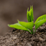 TerZ – Nachhaltig und praxisnah